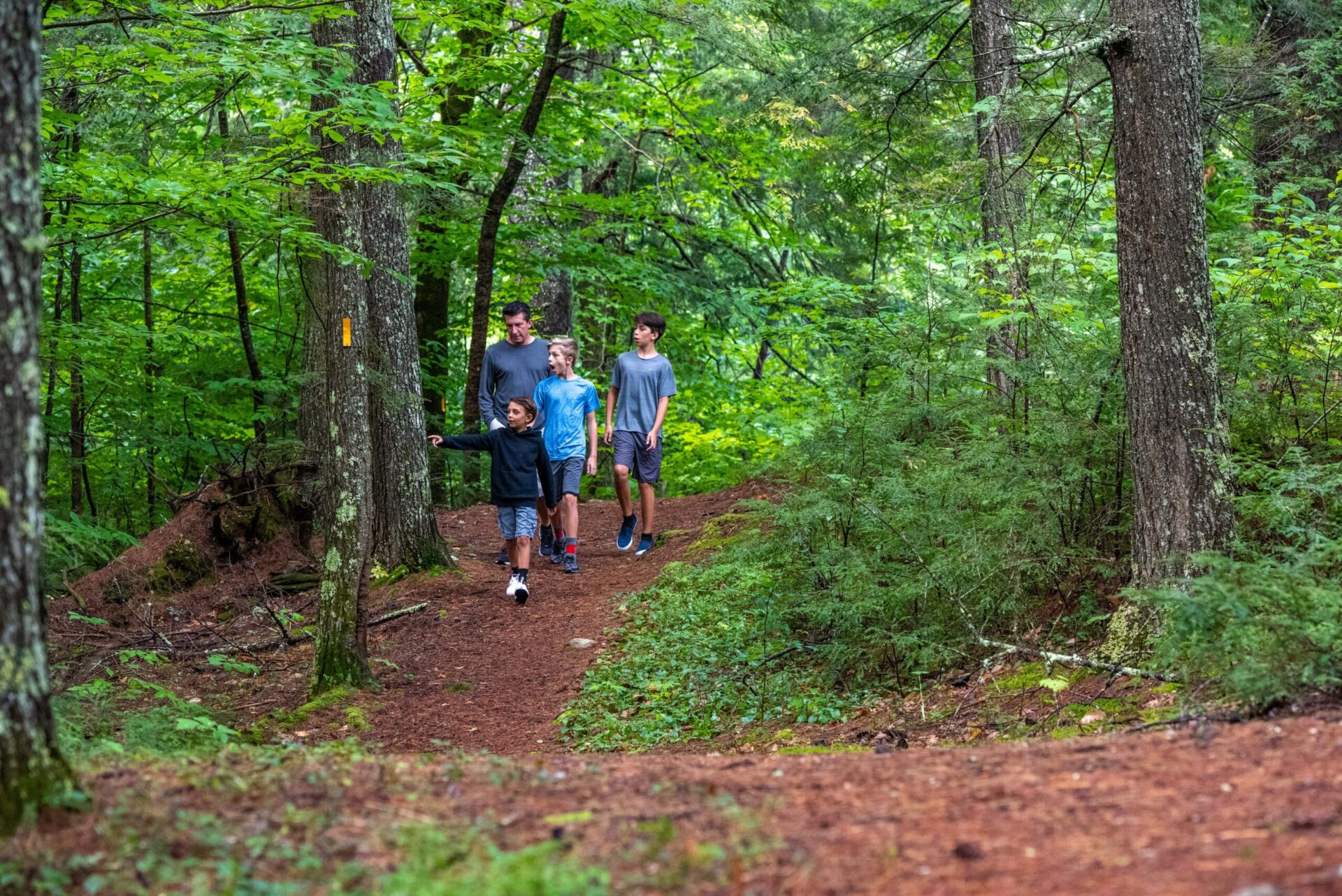 A Whole Lot of Hiking