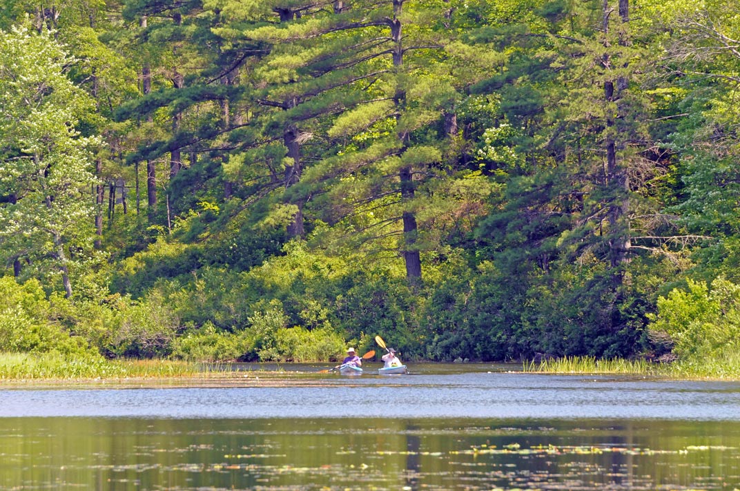 Top 3 Summer Adventures at Danforth Bay